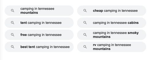 More Search Terms